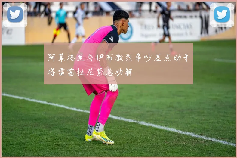 阿莱格里与伊布激烈争吵差点动手塔雷富拉尼紧急劝解